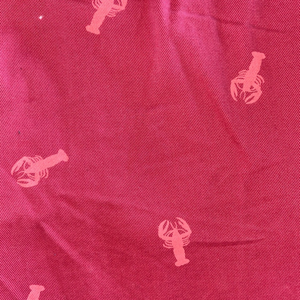 NEW Red Lobster Print Cotton Chino Shorts - Picture 9 of 9